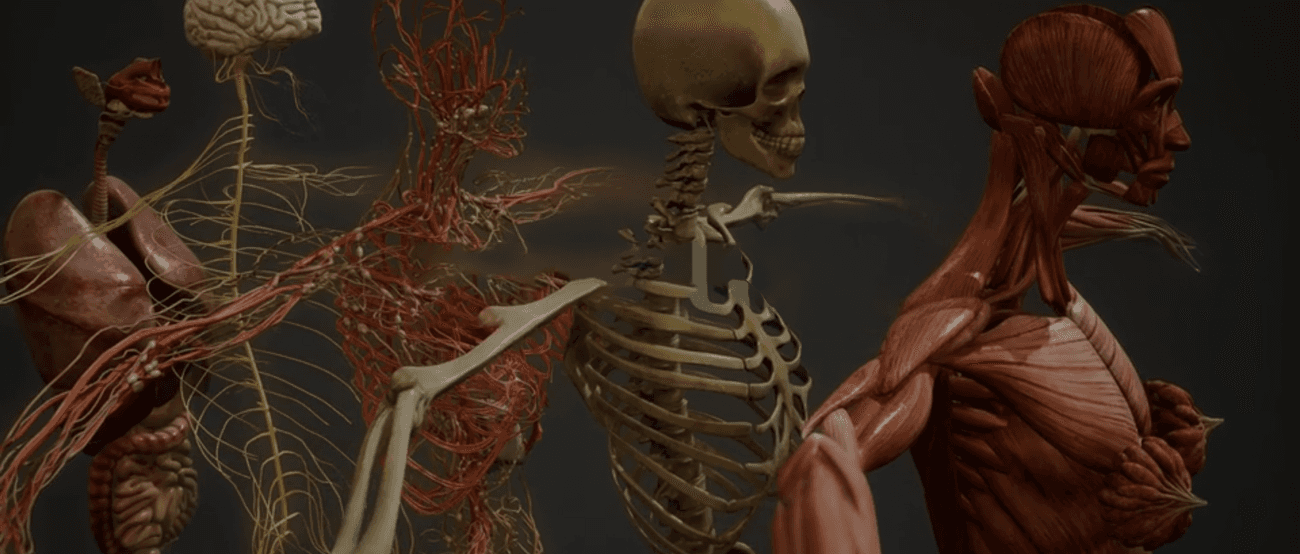 Infinity Animations